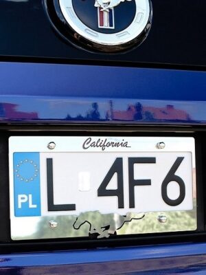 mustang małe california mustang małe california