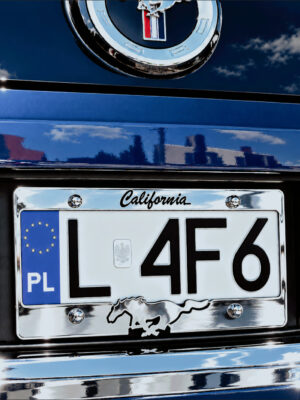 MUSTANG CALIFORNIA mustang