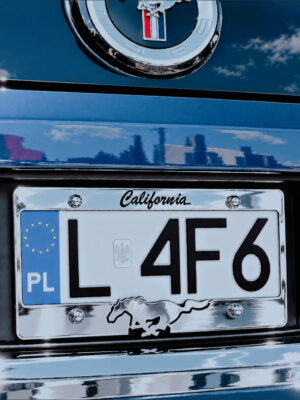 MUSTANG CALIFORNIA mustang najnowszy2